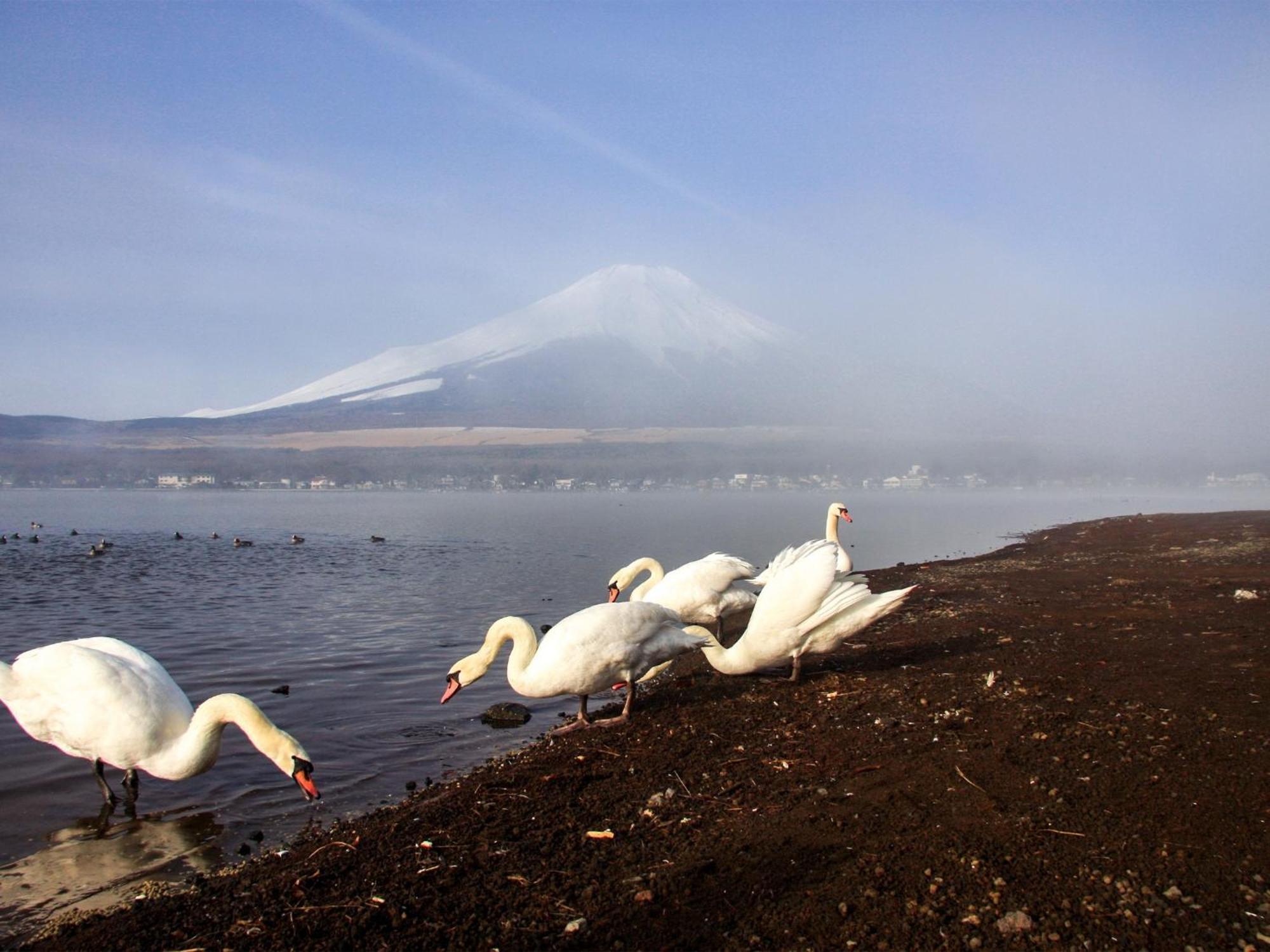 Minamitsuru-Gun - Hotel / Vacation Stay 45535 Yamanakako Zewnętrze zdjęcie
