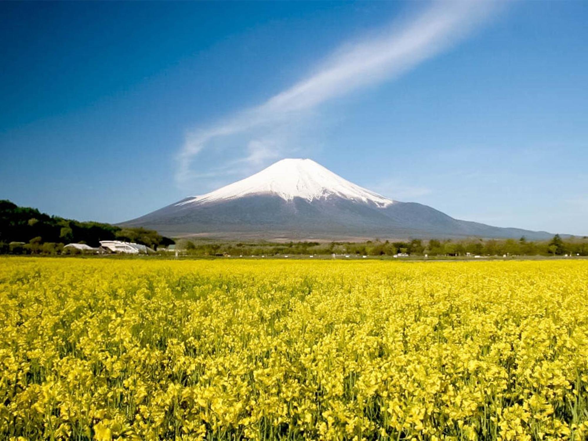 Minamitsuru-Gun - Hotel / Vacation Stay 45535 Yamanakako Zewnętrze zdjęcie